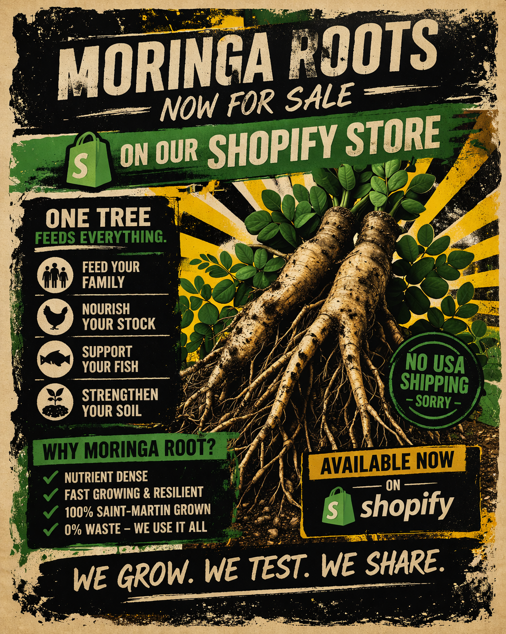 Secure Your Household's Food & Nutrition — Moringa Roots Available Now