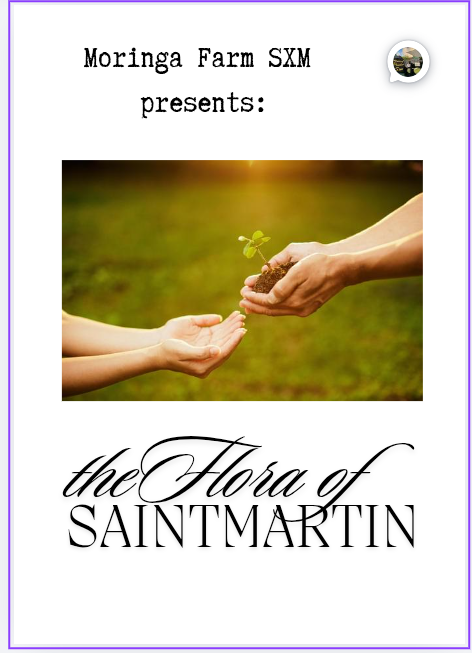 The Flora of Saint Martin – Printed Book (Preorder)